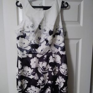 Womens Midi Dress
